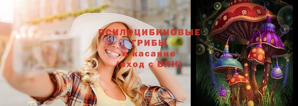 гашик Белокуриха