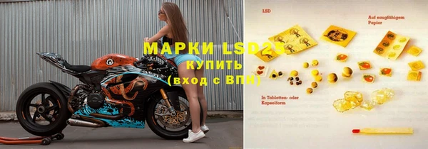 гашик Белокуриха