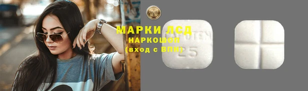 гашик Белокуриха