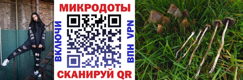 Галлюциногенные грибы прущие грибы  Болохово 