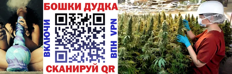 Бошки марихуана сатива Болохово